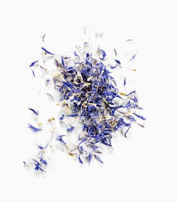 Closeup view of dried corn flowers on a white surface — Stock Photo