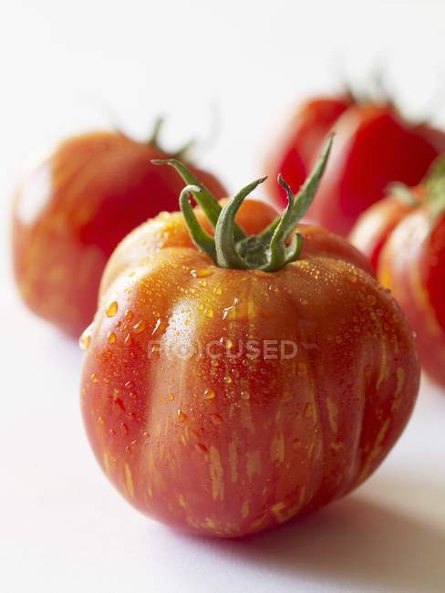 Tomates de Herencia Recién Lavados - foto de stock