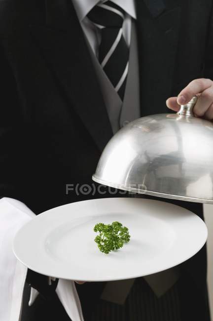Обрезанный вид дворецкого, подающего свежую петрушку на тарелке с куполом — стоковое фото