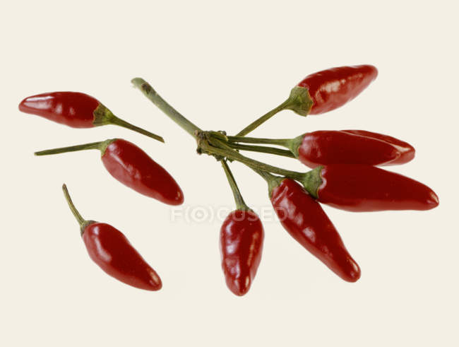 Red chili peppers with stalks — Stock Photo
