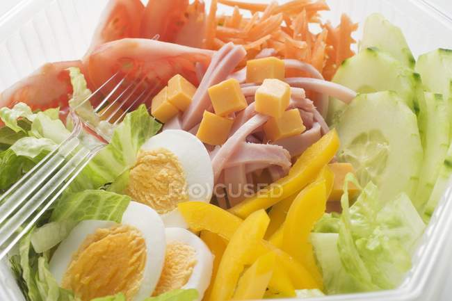 Vegetables in plastic bowl — Stock Photo
