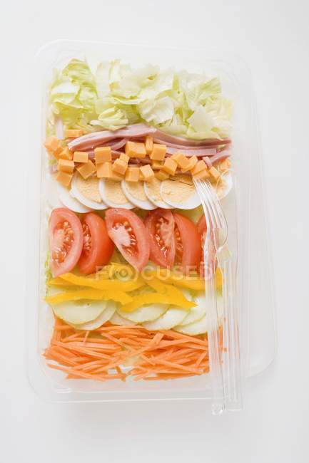 Verduras en bandeja de plástico - foto de stock