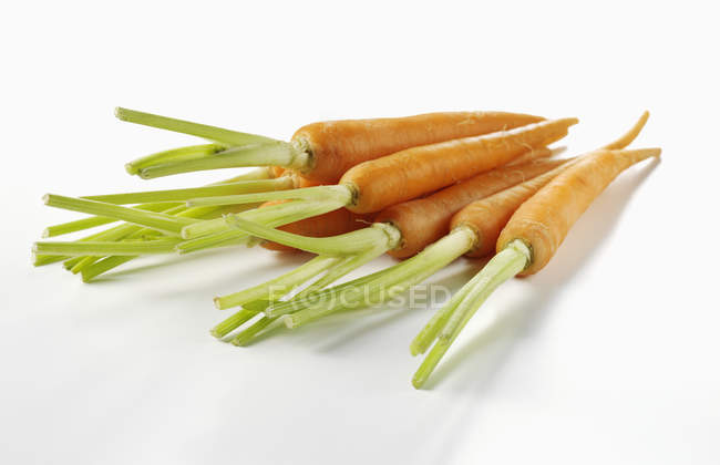 Детская морковка со стеблями — стоковое фото