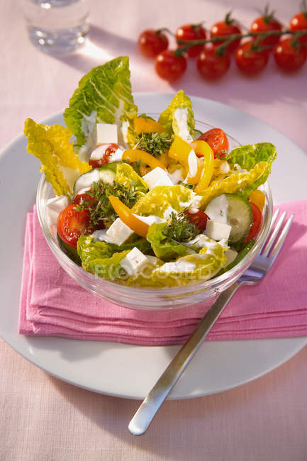 Salad leaves with vegetables — Stock Photo