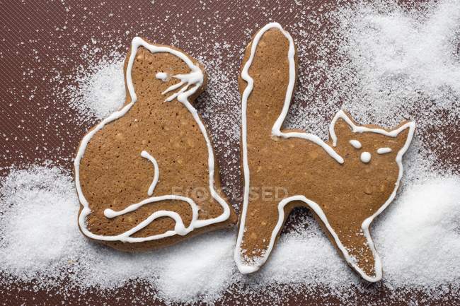 Due gatti pan di zenzero — Foto stock