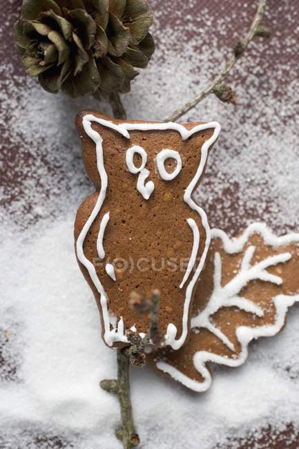 Gingerbread owl on branch — Stock Photo