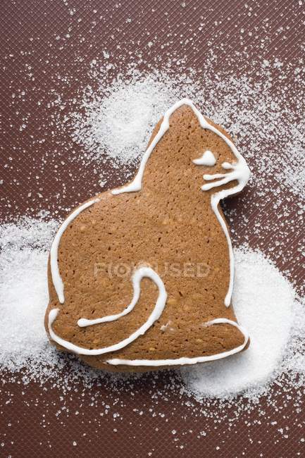 Gingerbread cat in sugar — Stock Photo
