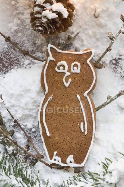 Gingerbread owl in sugar — Stock Photo