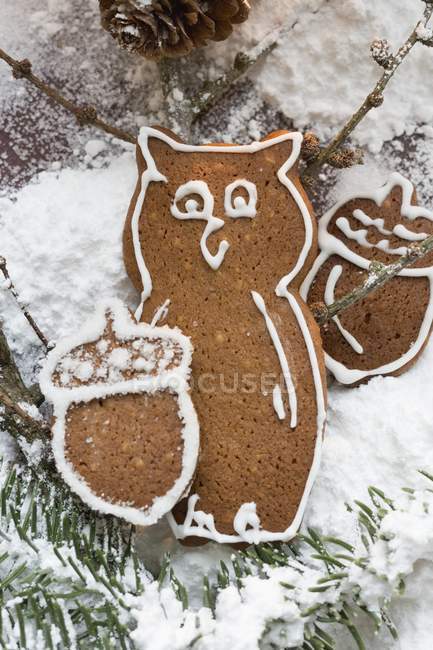 Gingerbread owl and acorns — Stock Photo