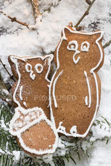 Lebkuchen-Eulen und Eicheln — Stockfoto