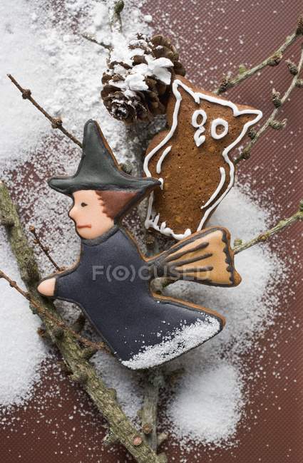 Gingerbread witch and owl — Stock Photo