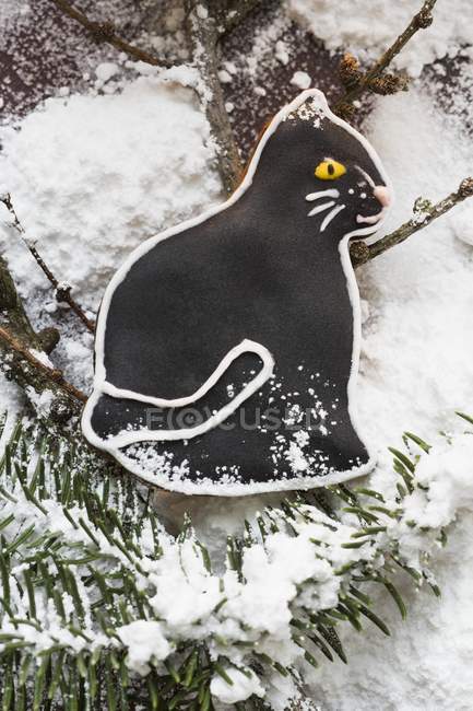 Black gingerbread cat — Stock Photo