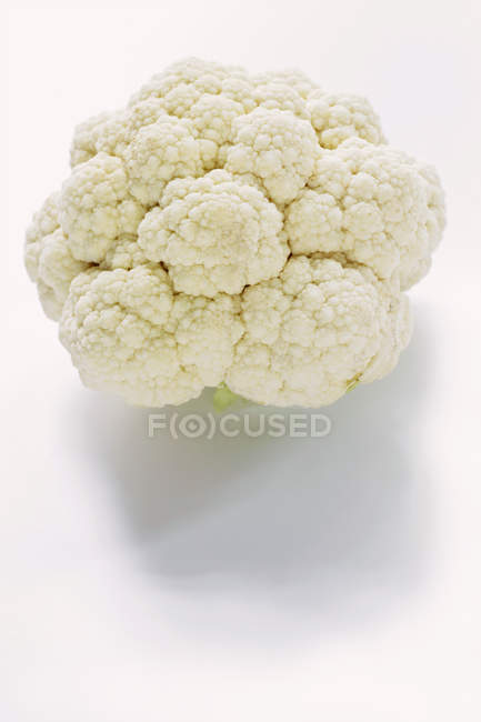 Couve-flor branca no branco — Fotografia de Stock