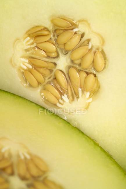 Melone affettato fresco — Foto stock