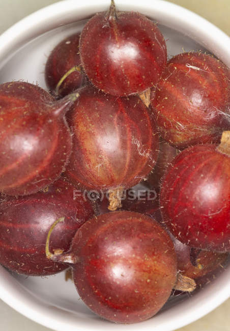 Fresh Red gooseberries — Stock Photo
