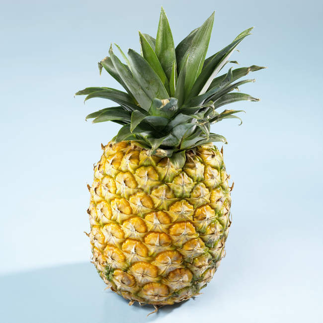 Свіжі стиглий ананас — стокове фото