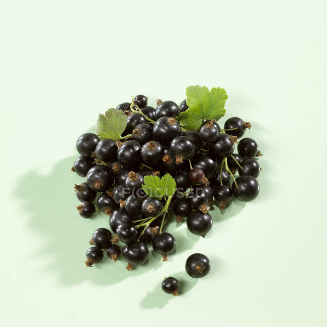 Fresh ripe blackcurrants — Stock Photo