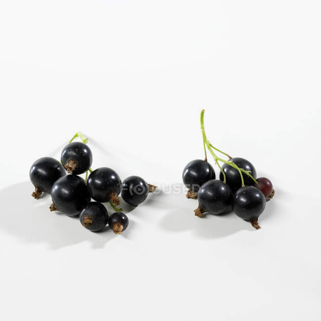 Racimos de grosellas negras frescas maduras - foto de stock