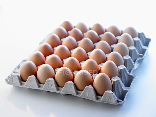 Белые яйца в лотке — стоковое фото