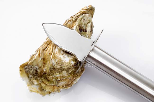 Oyster with oyster knife — Stock Photo