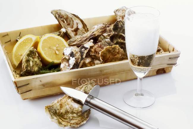 Fresh oysters in a box — Stock Photo