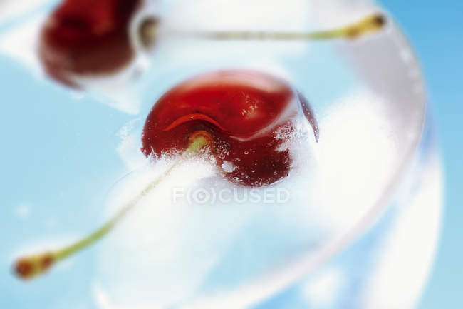 Cerezas frescas en agua - foto de stock