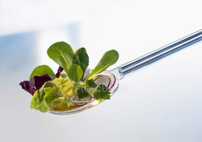 Closeup view of assorted salad leaves on a salad server — Stock Photo