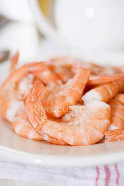 Cooked king prawns on plate — Stock Photo