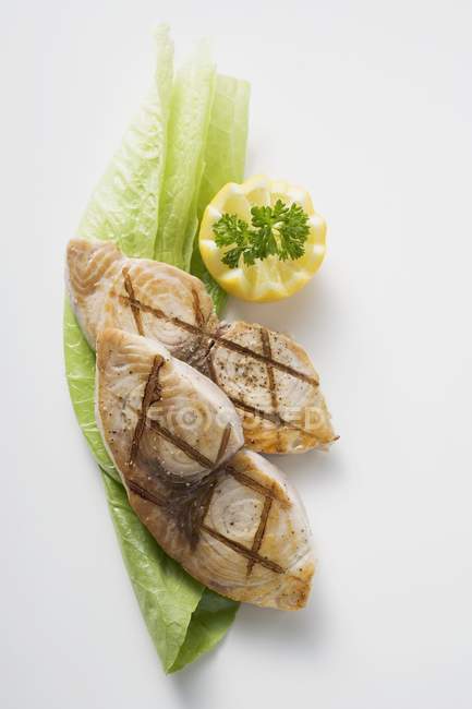 Grilled cod steak — Stock Photo