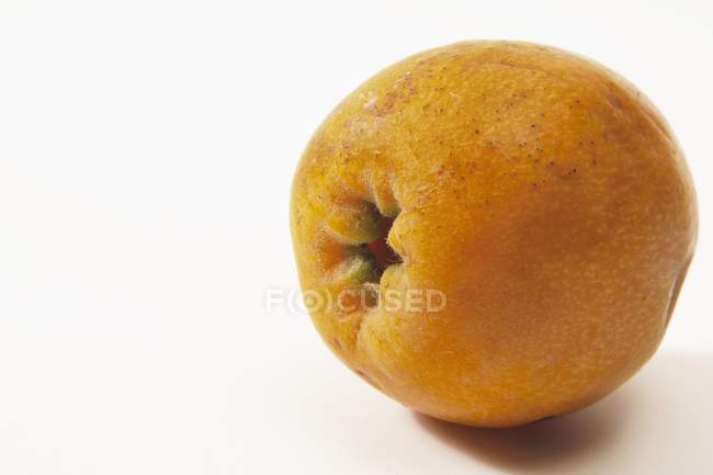 Fruta fresca del níspero - foto de stock