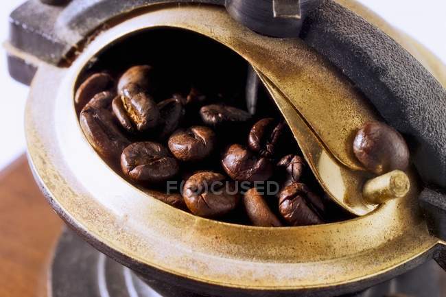 Vue rapprochée du moulin à café avec haricots — Photo de stock
