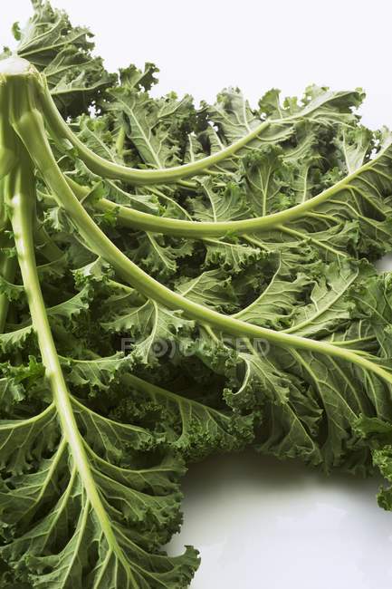 Fresh kale leaves — Stock Photo