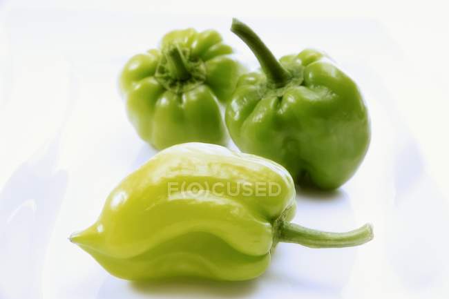 Drei grüne Paprika — Stockfoto