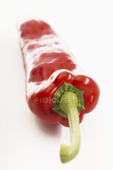 Nahaufnahme von roter Chilischote — Stockfoto