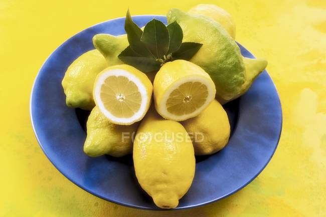Organic lemons in blue bowl — Stock Photo