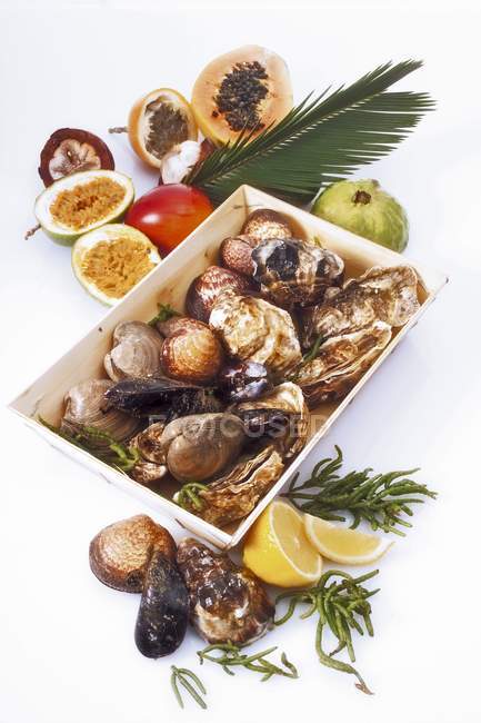 Вид крупным планом разнообразных моллюсков и фруктов — стоковое фото