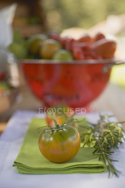 Vários tipos de tomates — Fotografia de Stock