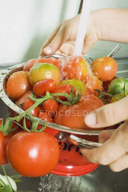 Mãos lavando tomates frescos — Fotografia de Stock