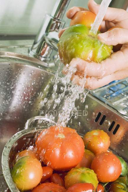 Mãos lavando tomates frescos — Fotografia de Stock