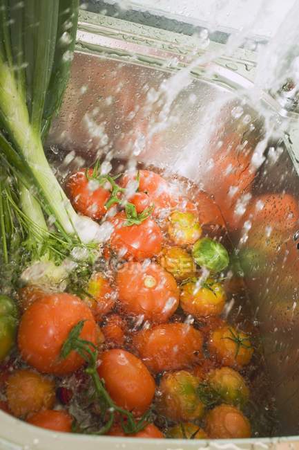 Lavado de tomates y cebolletas - foto de stock