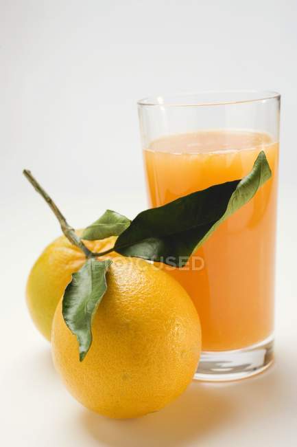 Glass of fresh juice and oranges — Stock Photo