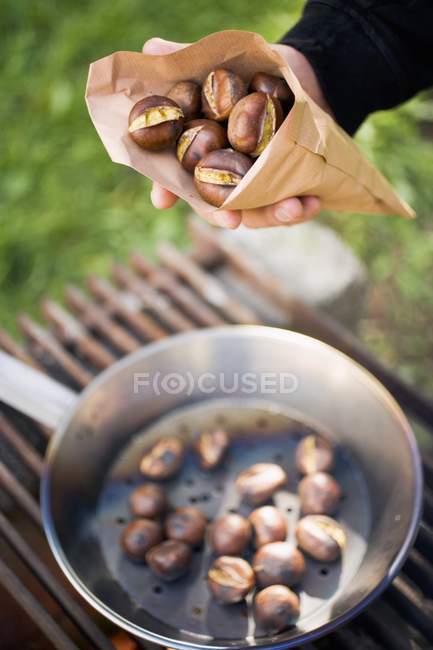 Hand holding roasted chestnutsts — Stock Photo