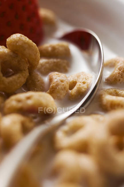Cereales con fresa y leche - foto de stock