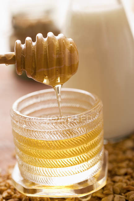 Tarro de miel y leche - foto de stock