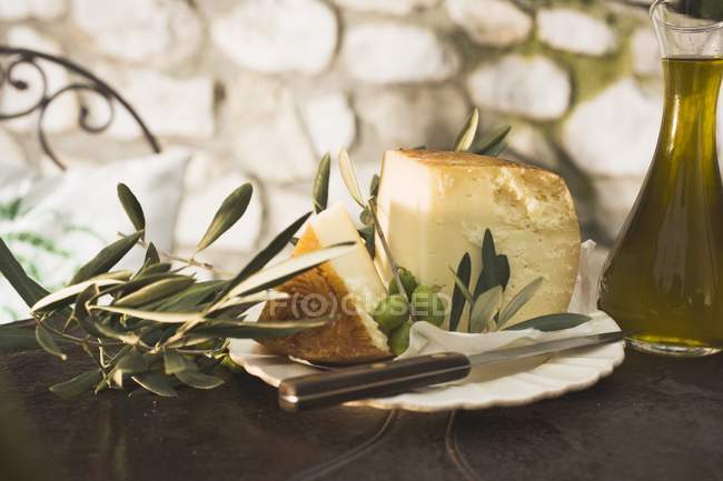 Сир на відкритому повітрі вдень — стокове фото