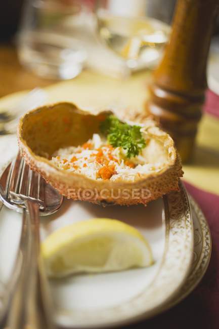 Closeup view of crab meat in crab shell — Stock Photo