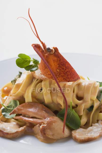 Ribbon pasta with lobster — Stock Photo
