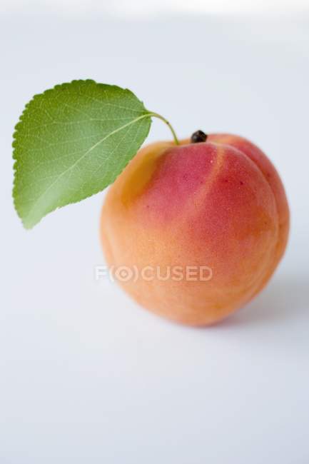 Fresh apricot with leaf — Stock Photo
