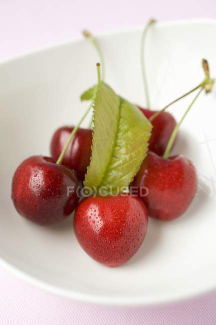 Five cherries with leaf — Stock Photo