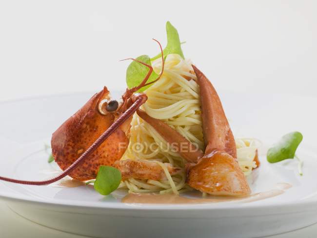 Linguine pasta with lobster — Stock Photo